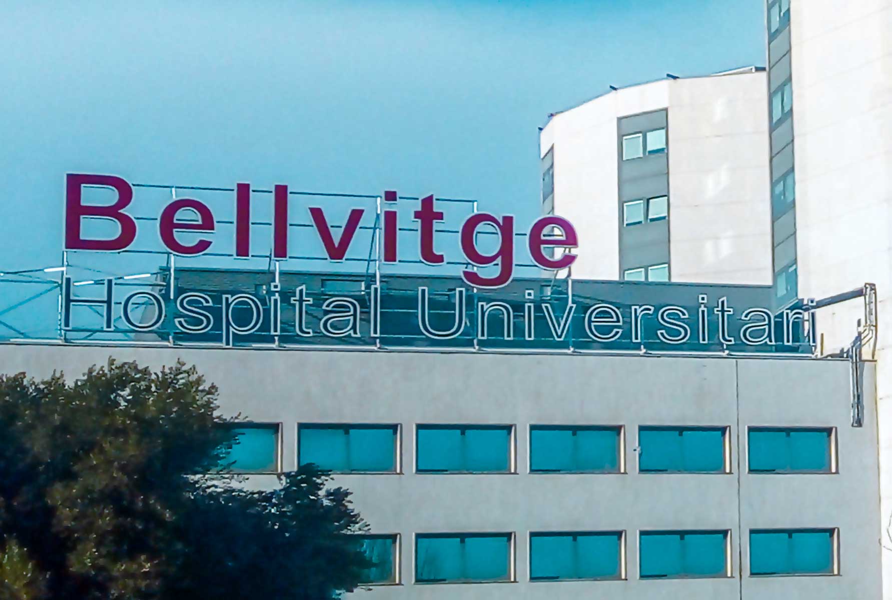 Suport bioinformàtic per a l'Hospital de Bellvitge